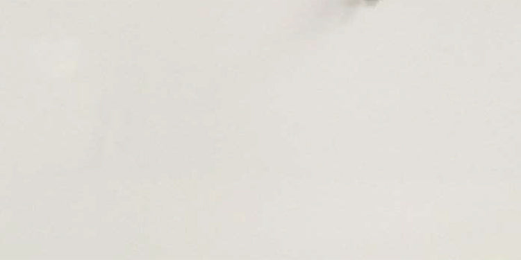 Pure White Prefab