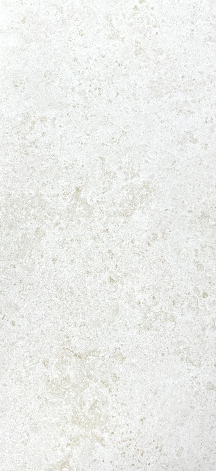 Essence Fd US Bone 12” X 24”