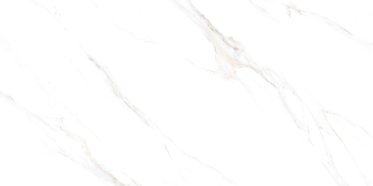 Cassini Carrara 24 x 48 Porcelain Tile