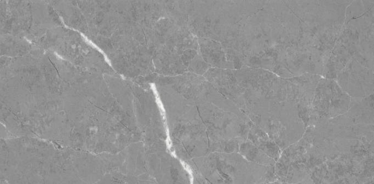 Nordic Fossil 24 x 48 Porcelain Tile