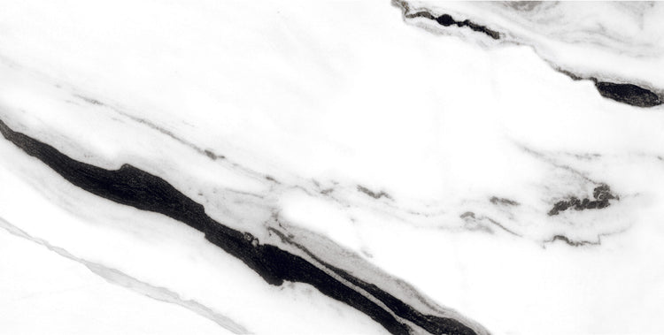 Panda Nuovo 24 x 48 Porcelain Tile