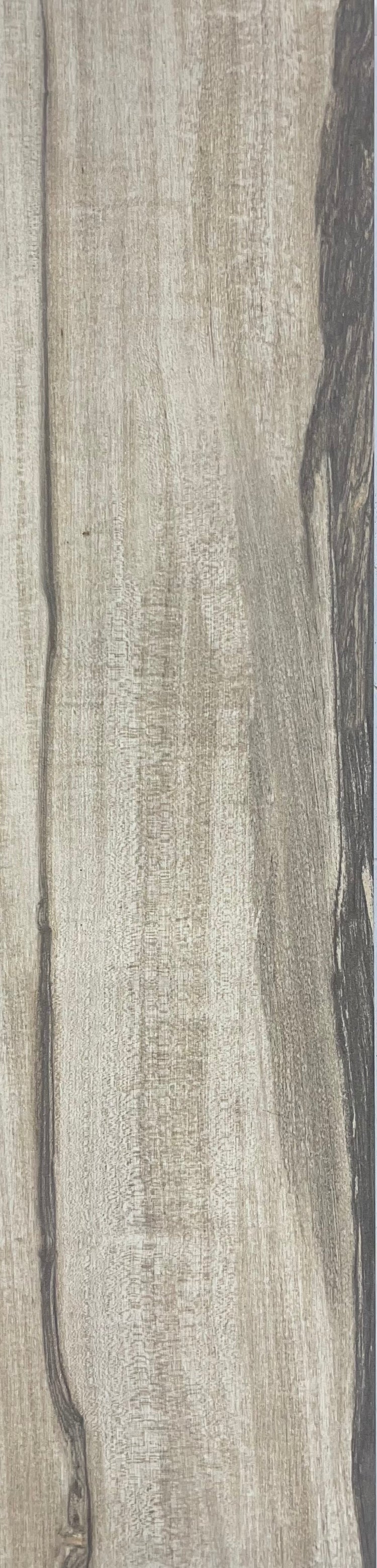 Fall 6” X 24”