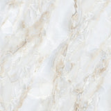 Onix Elite - Polished Porcelain Tile 24"x 24"