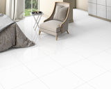 Alpes Super White - Polished Porcelain Tile 24"x 24"