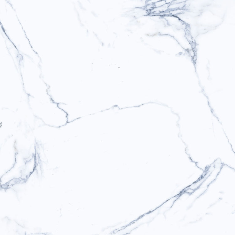 Statuario - Polished Porcelain Tile 24"x 24"