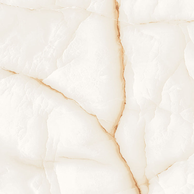 Honey - Polished Porcelain Tile 24"x 24"