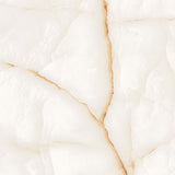 Honey - Polished Porcelain Tile 24"x 24"