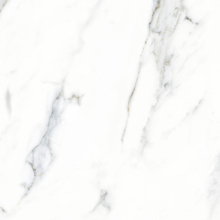 Carrara Elite - Polished Porcelain Tile 24"x 24"